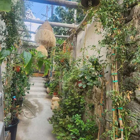 Tina's Art - Venetian Walls District * ניקוסיה